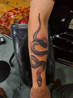 Snake tattoo